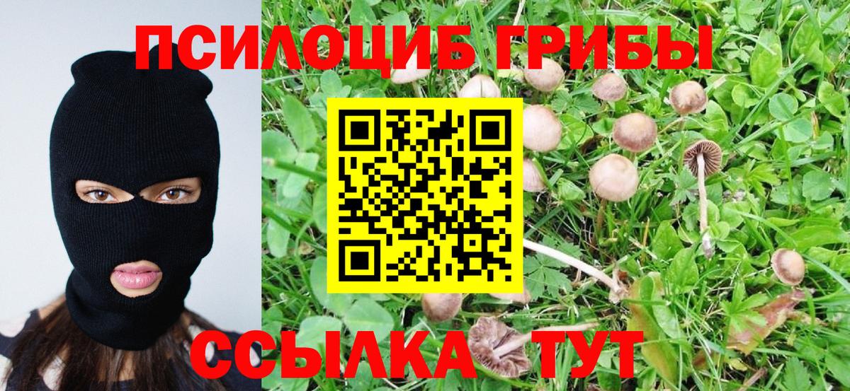 Тимашёвск  Псилоцибиновые грибы MAGIC MUSHROOMS  Вход с VPN 